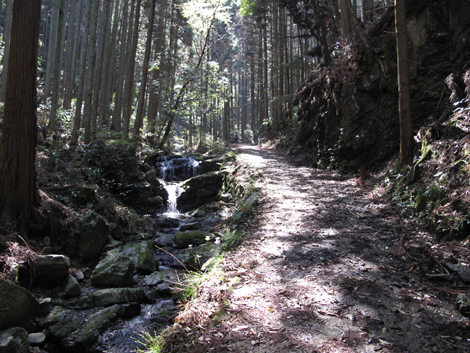 20140419hike (41)